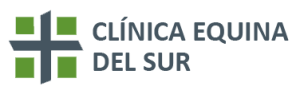 Clínica Equina del Sur